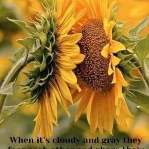 Meet your Posher, Haydee andrea